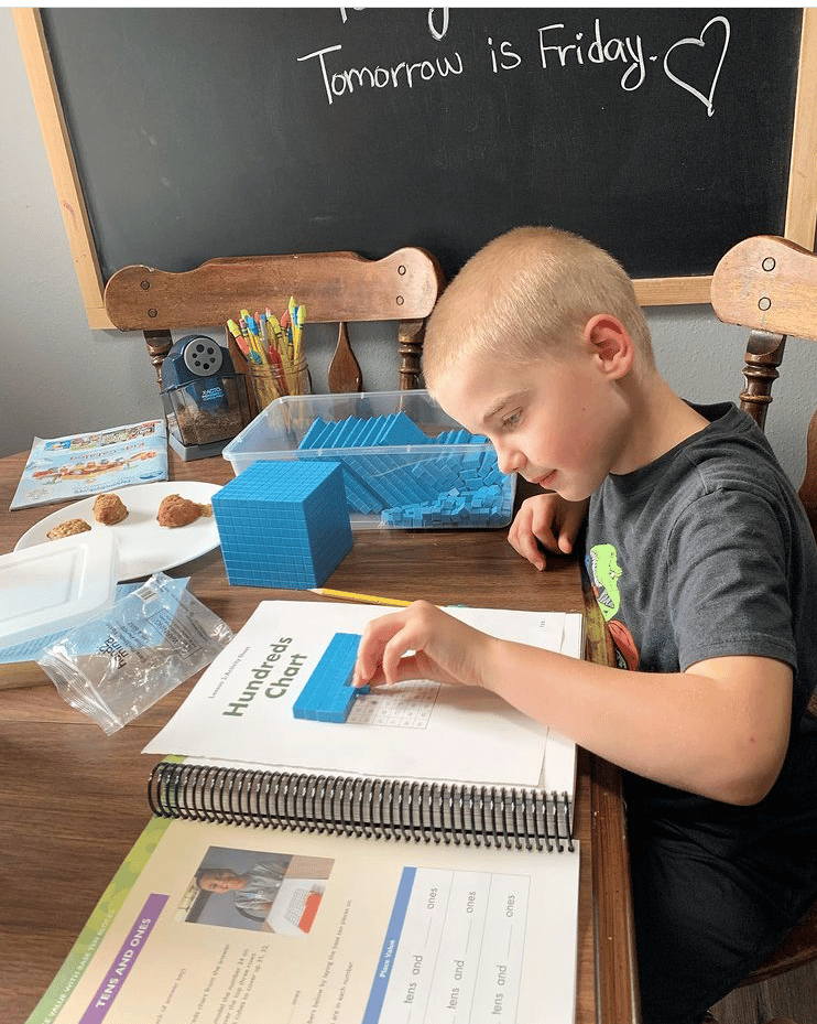 Apologia elementary homeschool math curriculum