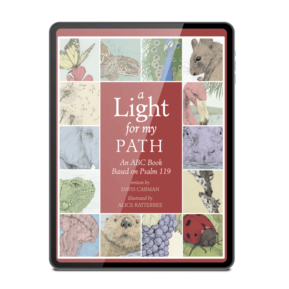 A Light for My Path eBook