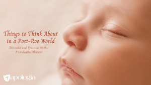 Things to Think About in a Post-Roe World Blog Post by Davis Carman