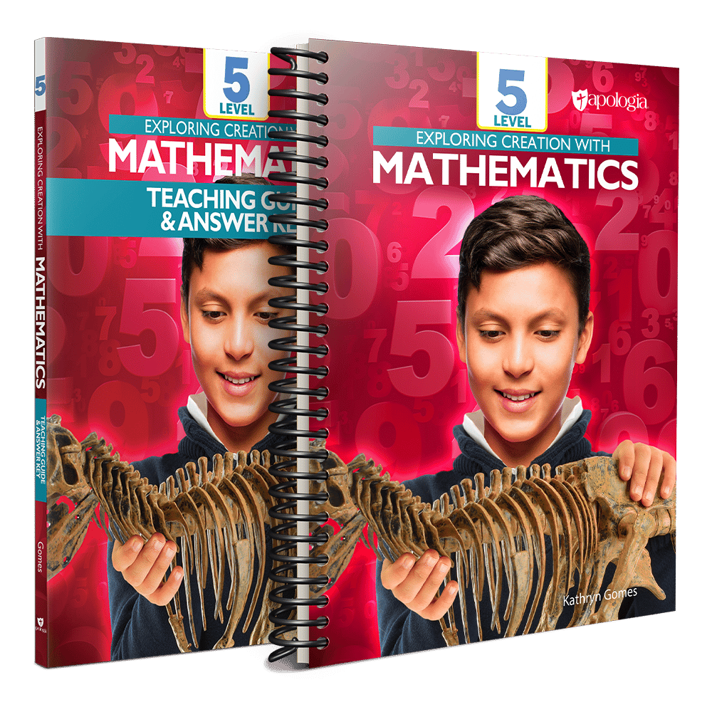 Mathematics Level 5 Basic Set