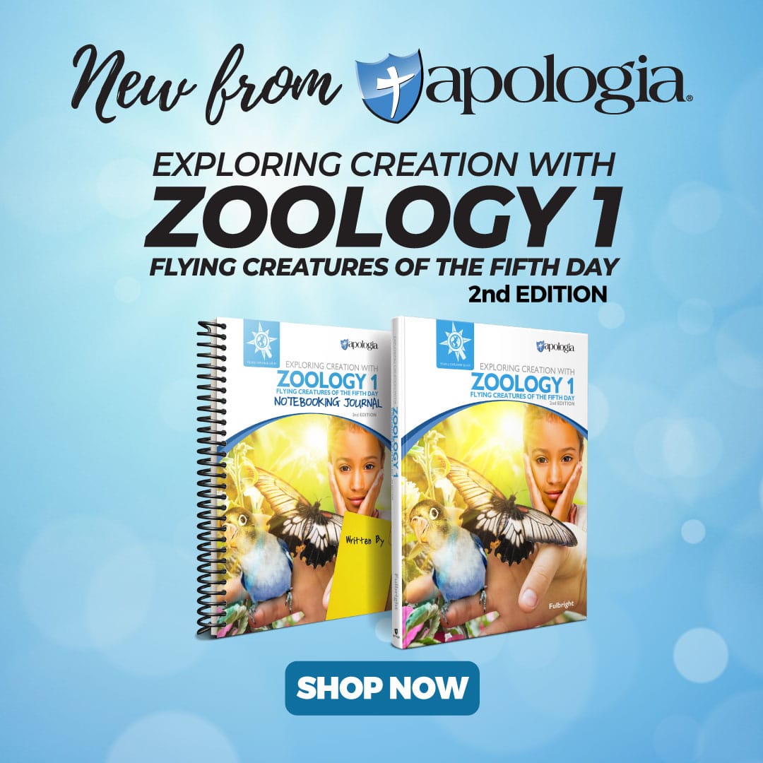 New Zoology 1