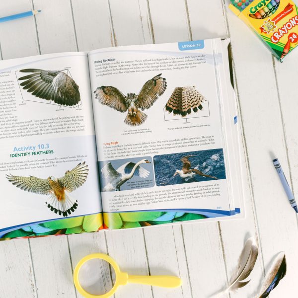 Zoology 1 Flying Creatures 2nd Edition Textbook Lesson 10