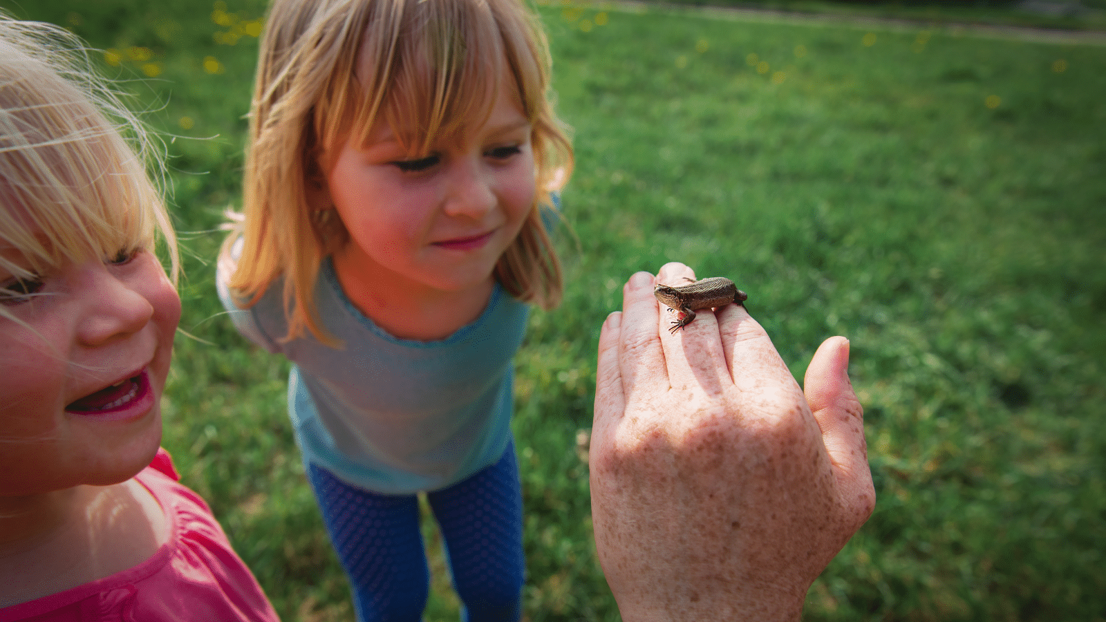 Preschool Science at Home