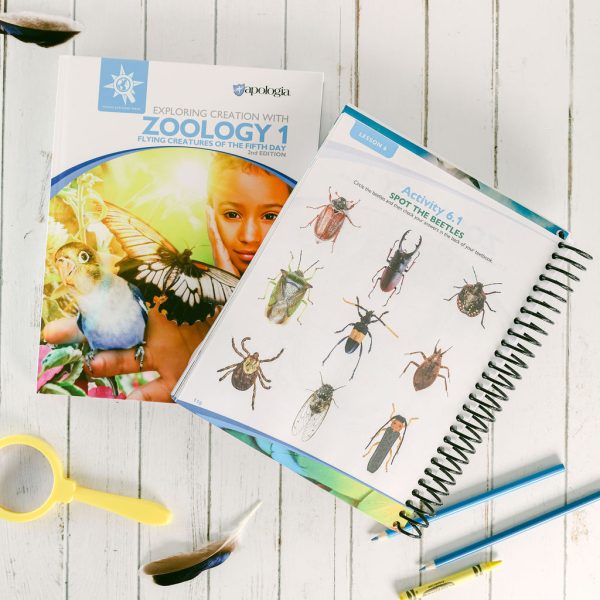 Zoology 1 Flying Creatures 2nd Edition Advantage Set Lesson 6.2