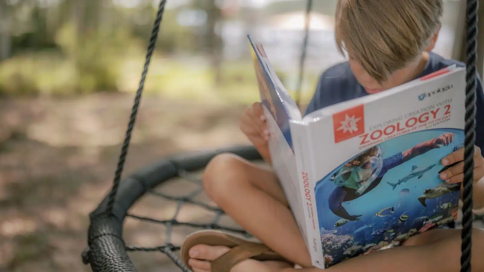 5th grade homeschool curriculum