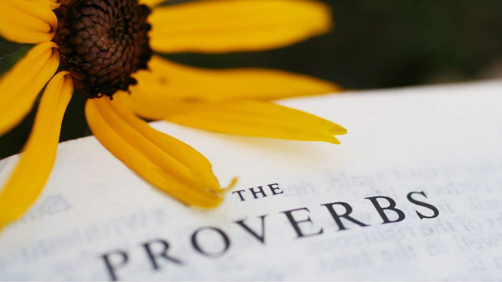 Homeschool Words of Wisdom