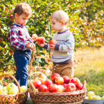 Homeschool Field Trip #8 - Apple Picking