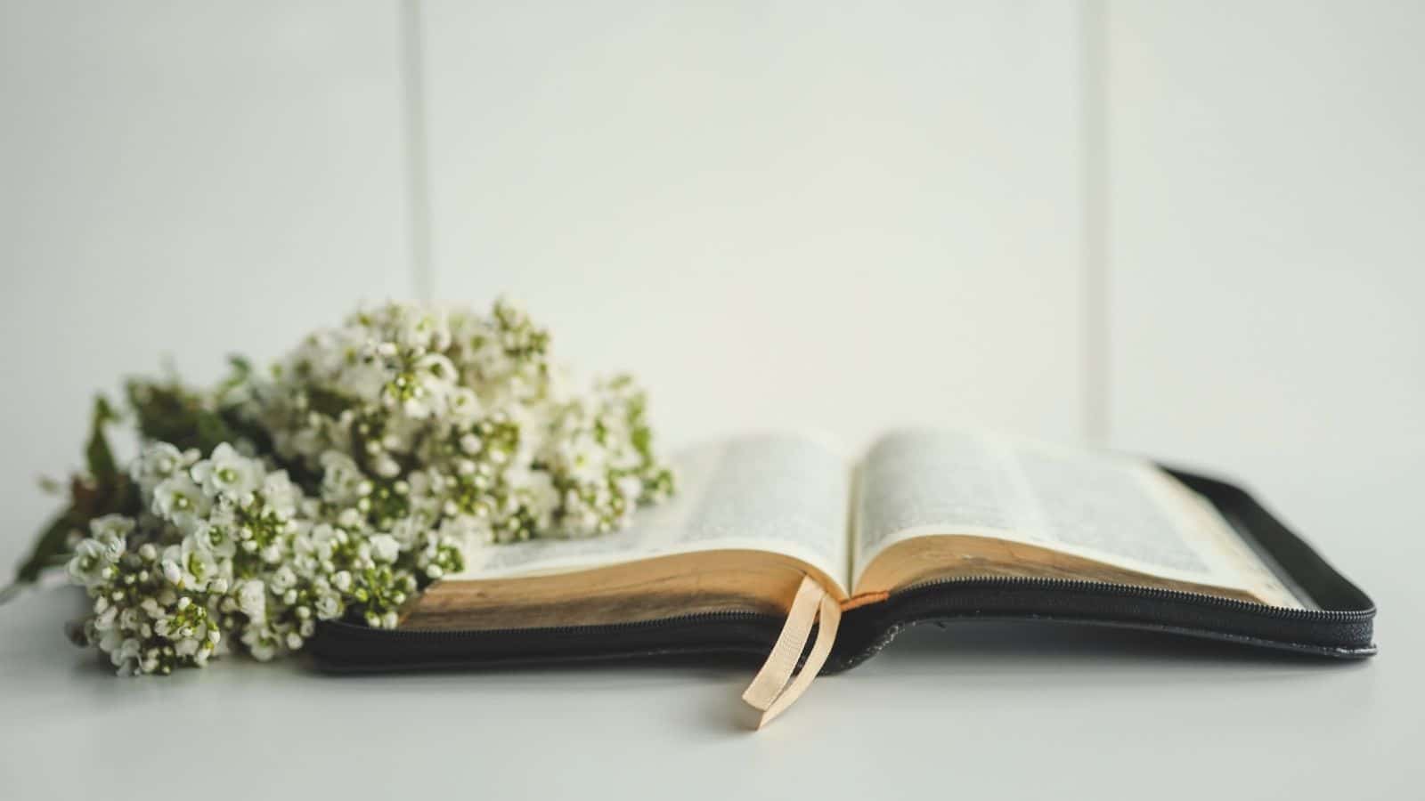 What Does the Bible Say About Homeschooling