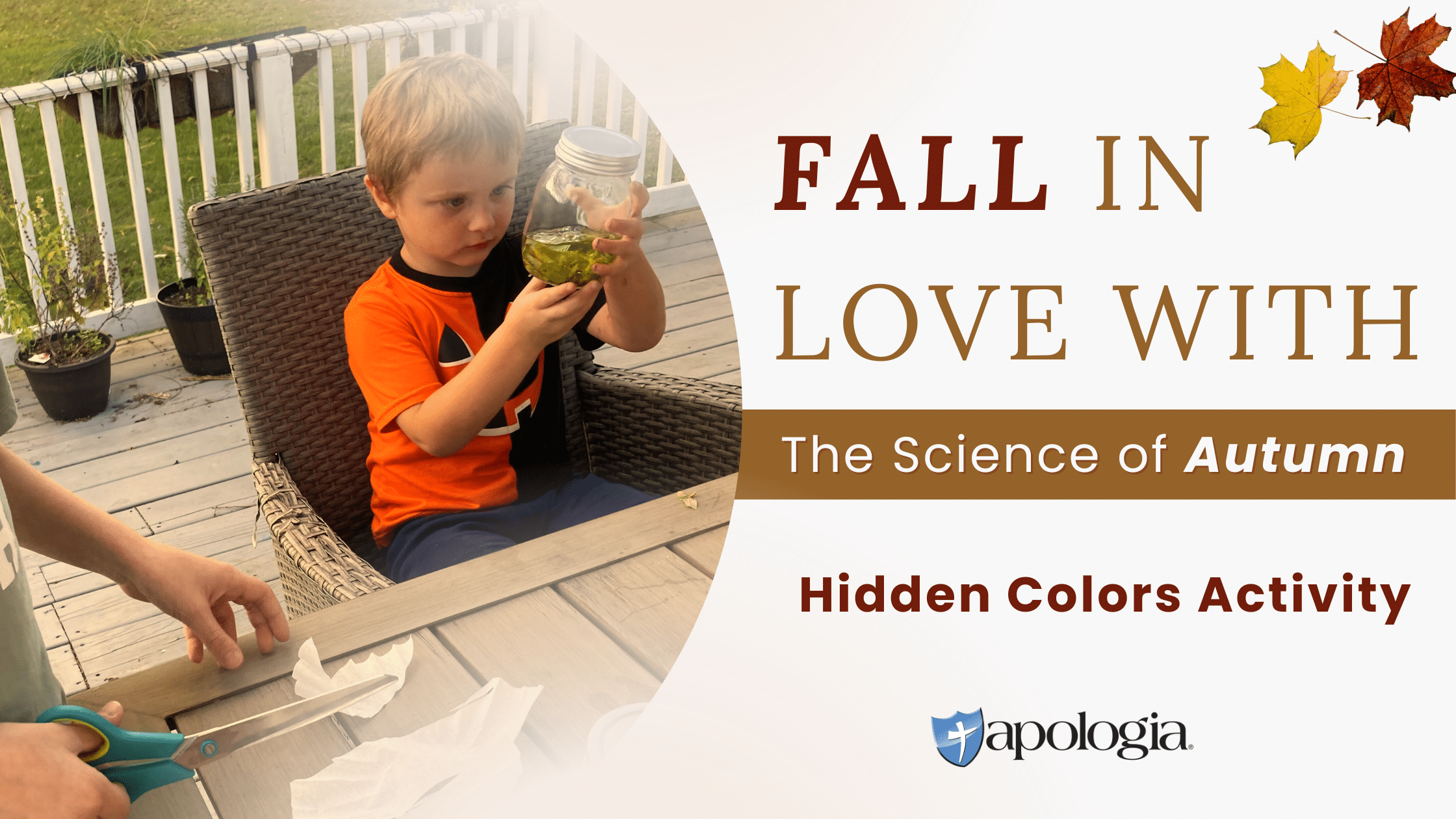 Fall in Love with the Science of Autumn: Hidden Colors Activity