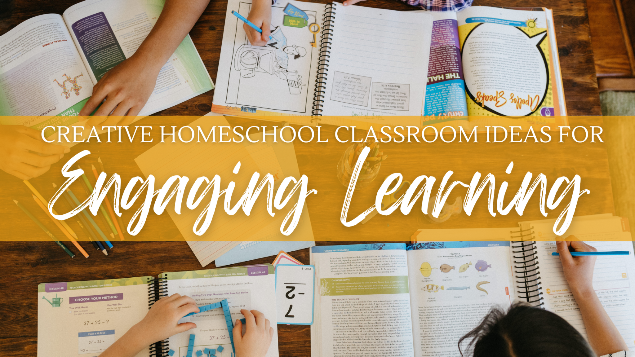 Creative Homeschool Classroom Ideas for Engaging Learning - Apologia