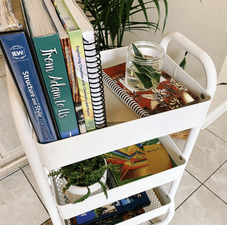 Creative Homeschool Classroom Ideas for Engaging Learning - Apologia