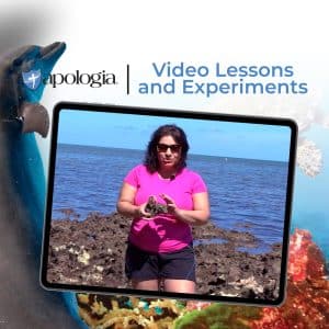 Marine Biology Video Lessons and Experiments by Apologia
