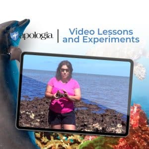 Marine Biology Video Lessons and Experiments