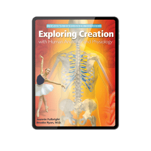 Anatomy-eBook