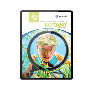 Botany-eBook