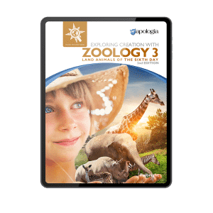 Exploring Creation with Zoology 3 Ebook