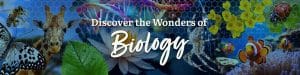 Biology Homeschool Curriculum