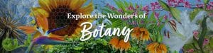 Homeschool Botany Curriculum