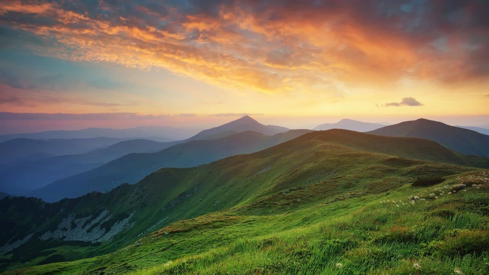 Creation – The Who, What, Why, and How