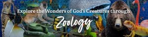 Homeschool Zoology Curriculum