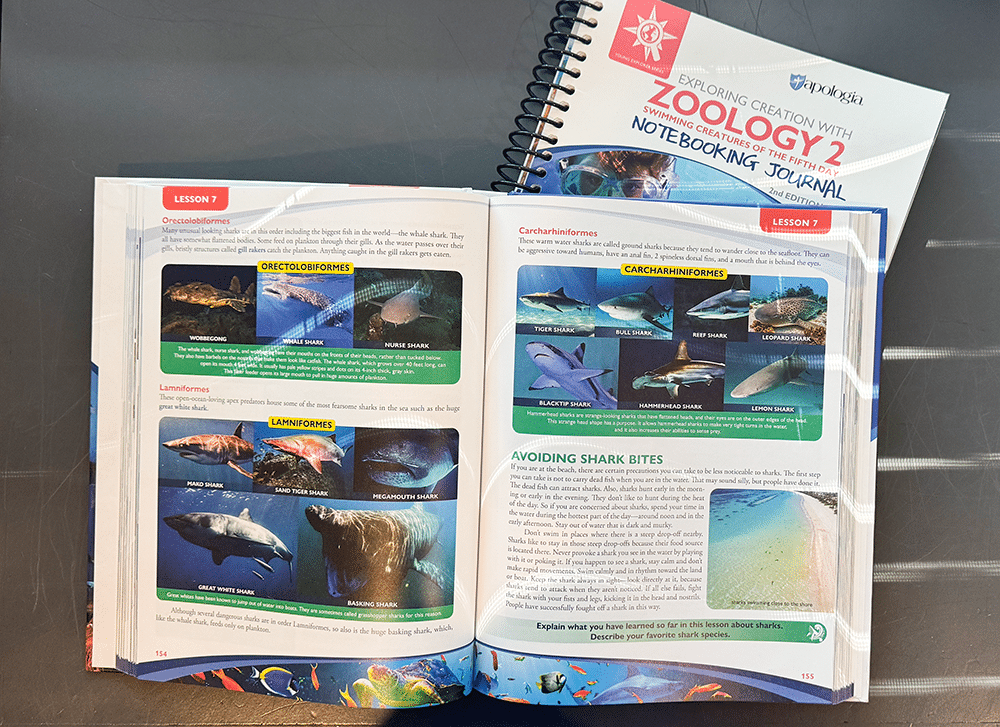 Zoology 2 textbook and notebooking journal open on a desk