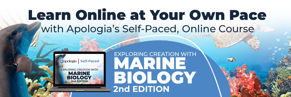 Self-Paced Online Marine Biology for Homeschool