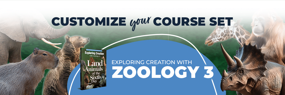 Exploring Creation with Zoology 3