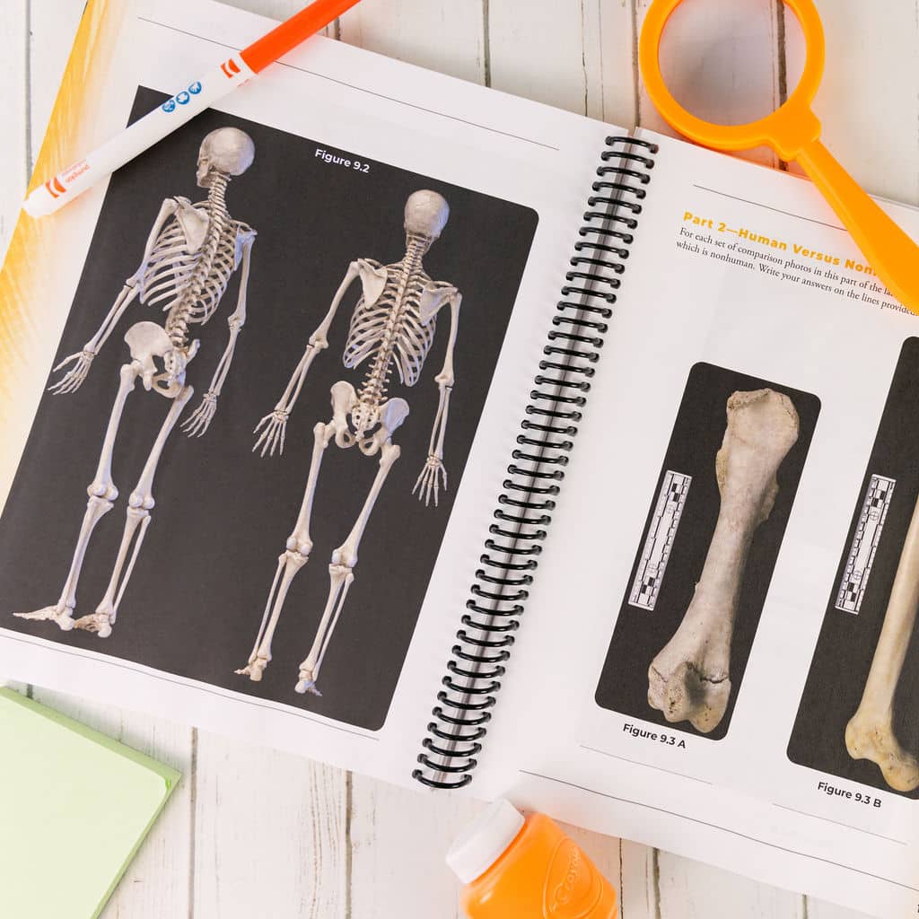 Apologia Forensics Student Notebook Interior