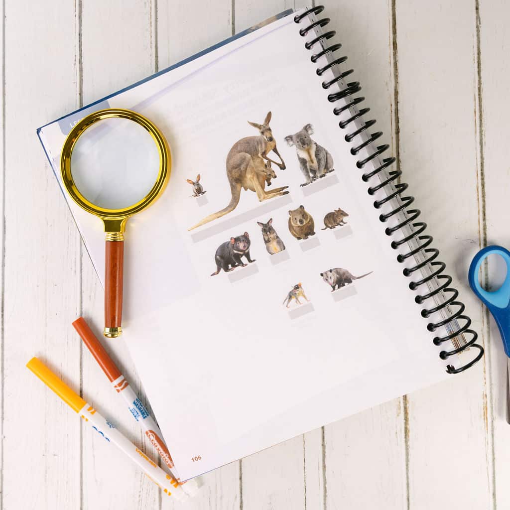 Apologia Zoology 3 Notebooking Journal Inside