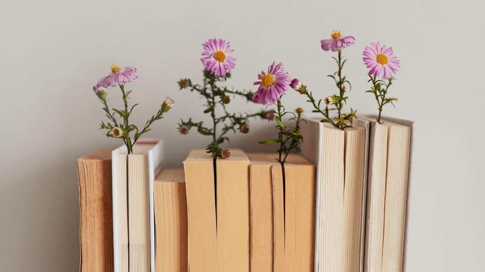 Five Homeschool Essentials You Can’t Buy