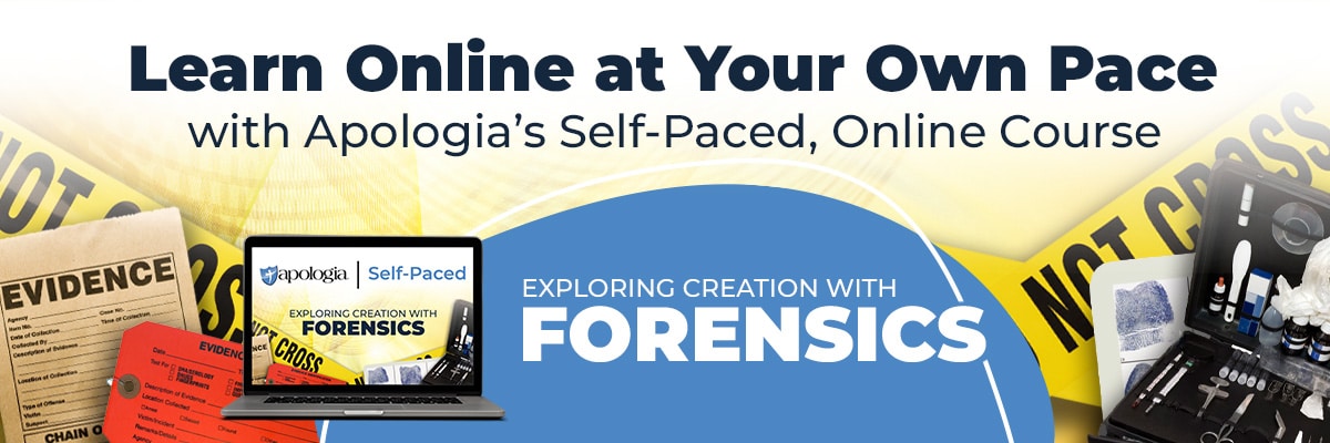 Self-Paced Online Forensics for Homeschool