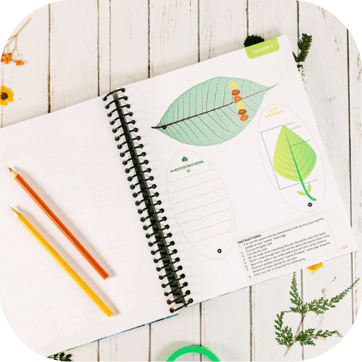 2nd Grade Curriculum