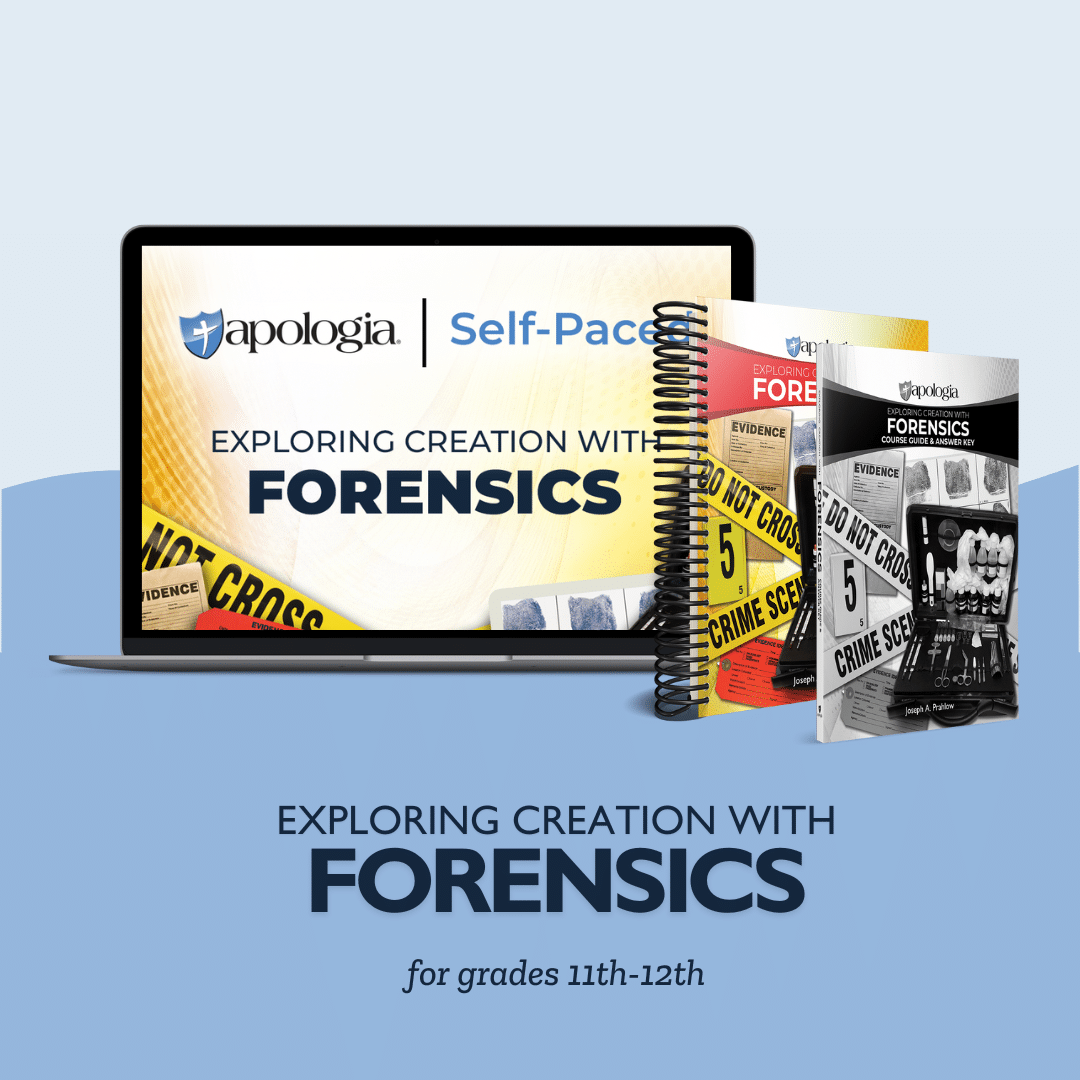 Exploring Creation with Forensics