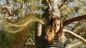 The Move From Busy to Awe and Wonder blog feature image