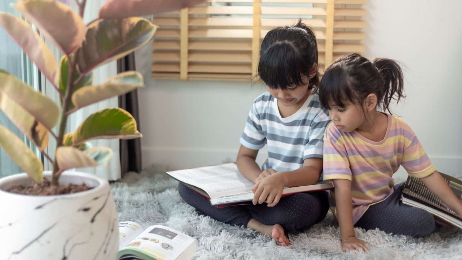The Power of Multi-Age Learning in Homeschooling
