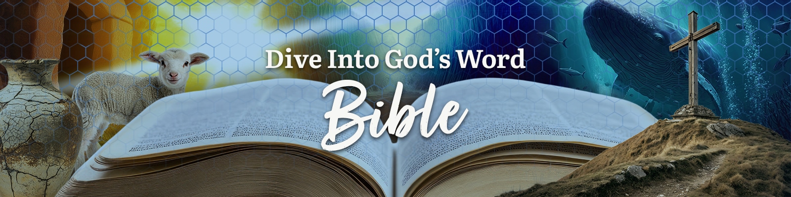 Bible Curriculum