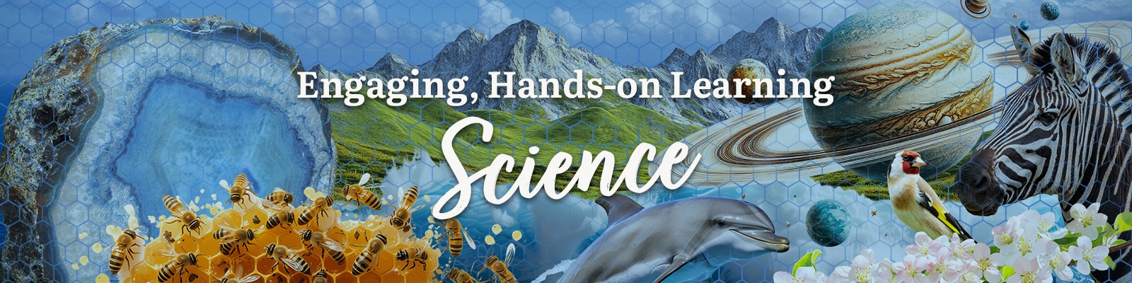 Science Curriculum