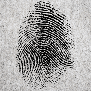 finger print