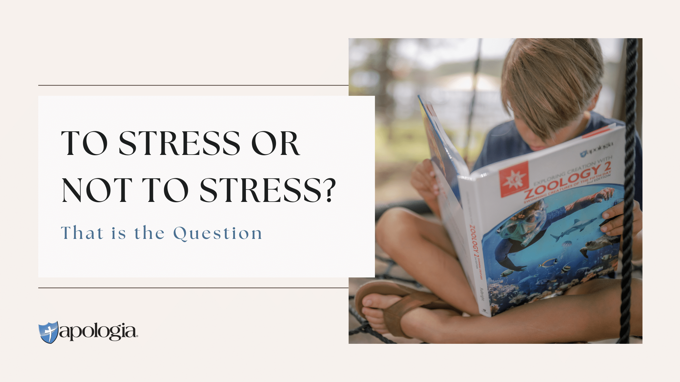 To Stress or Not to Stress that is the questions blog feature image