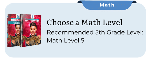 5th grade math curriculum