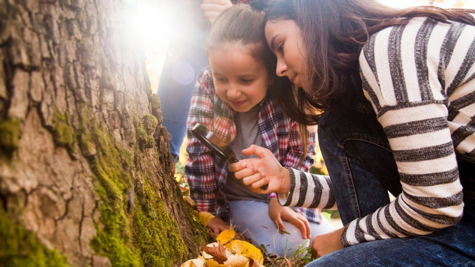 Cultivating a Passion for Exploration in Homeschooling