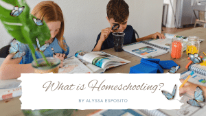 What is Homeschooling? Blog Post Feature Image