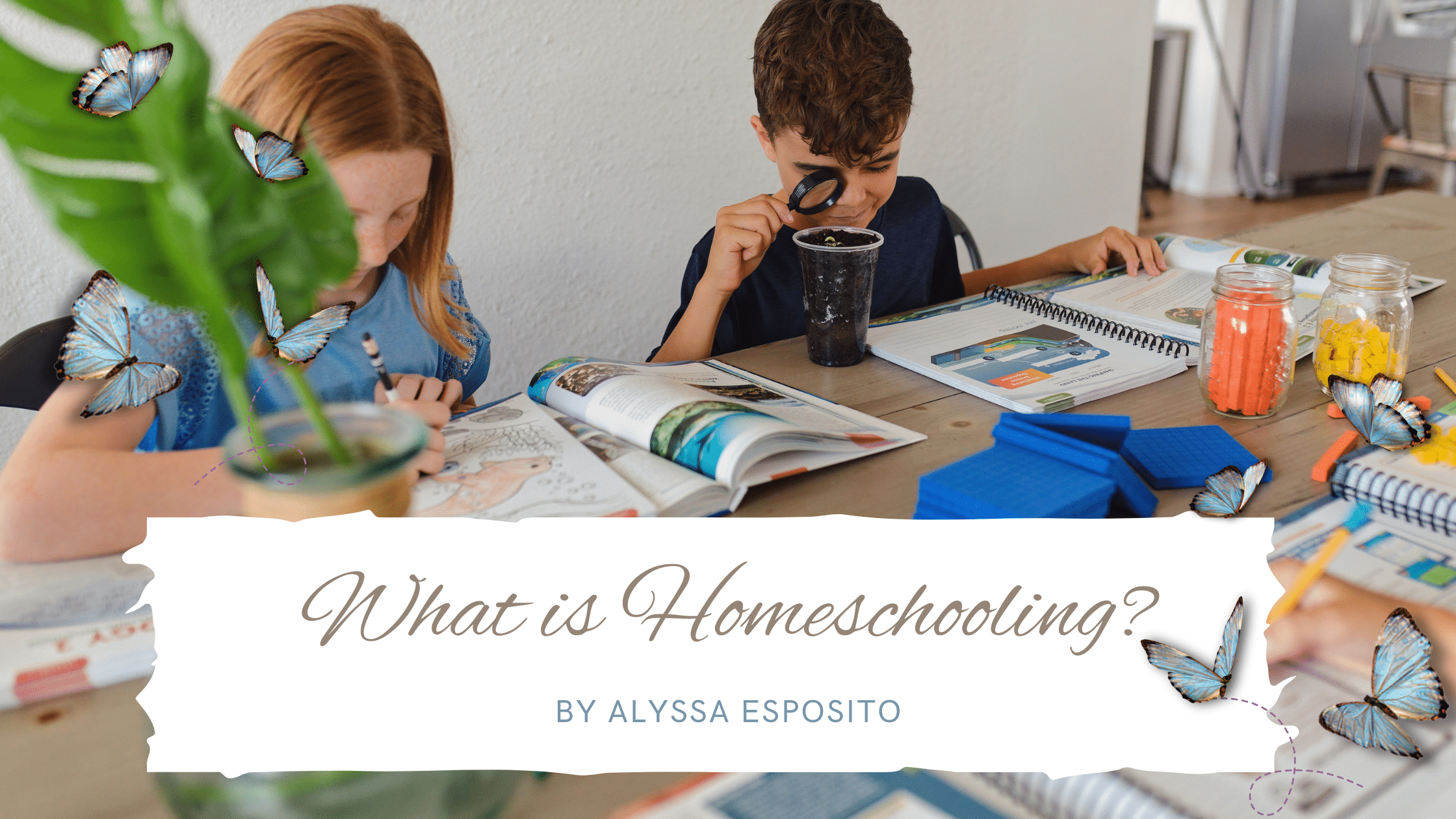 What is Homeschooling? Blog Post Feature Image