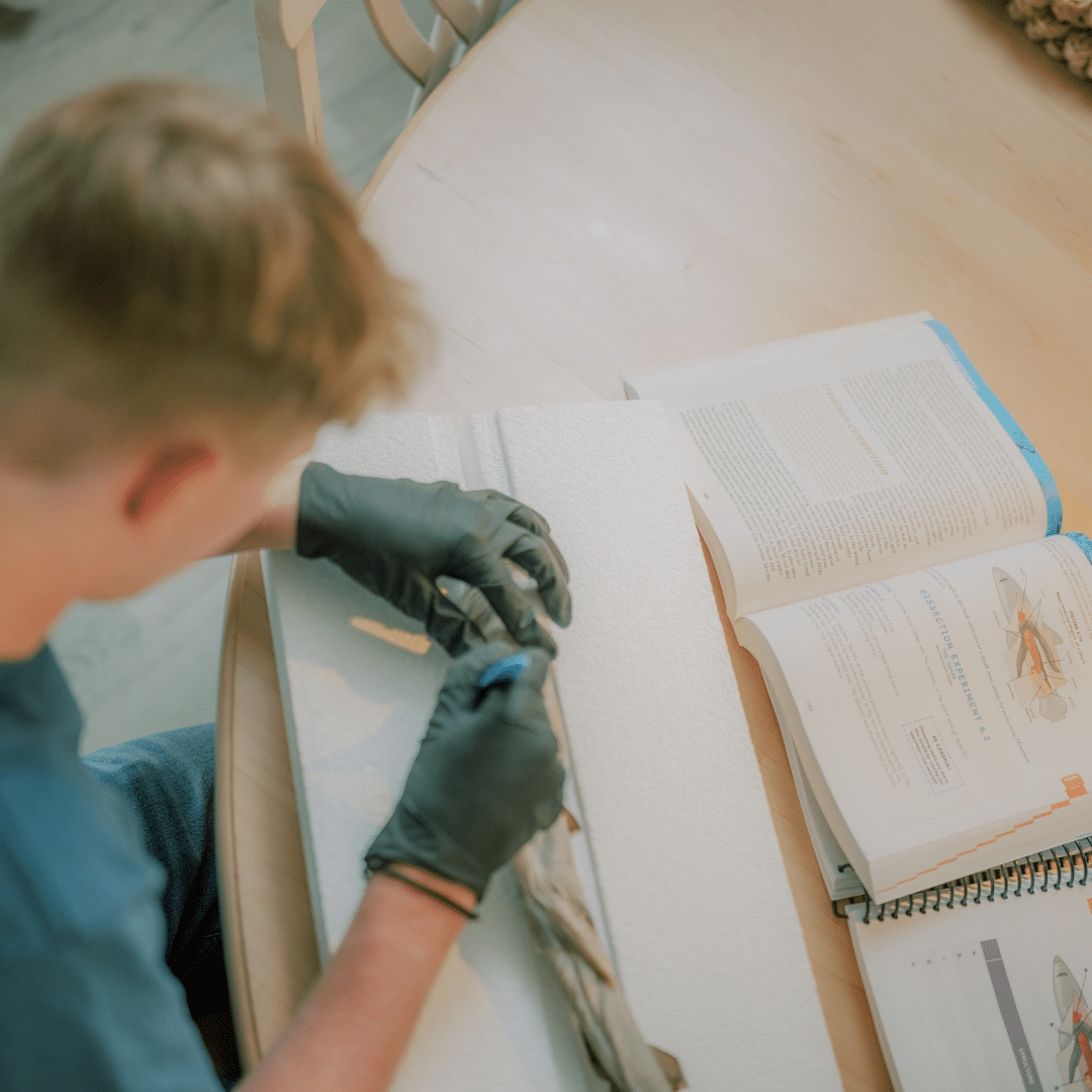 Marine Biology Curriculum