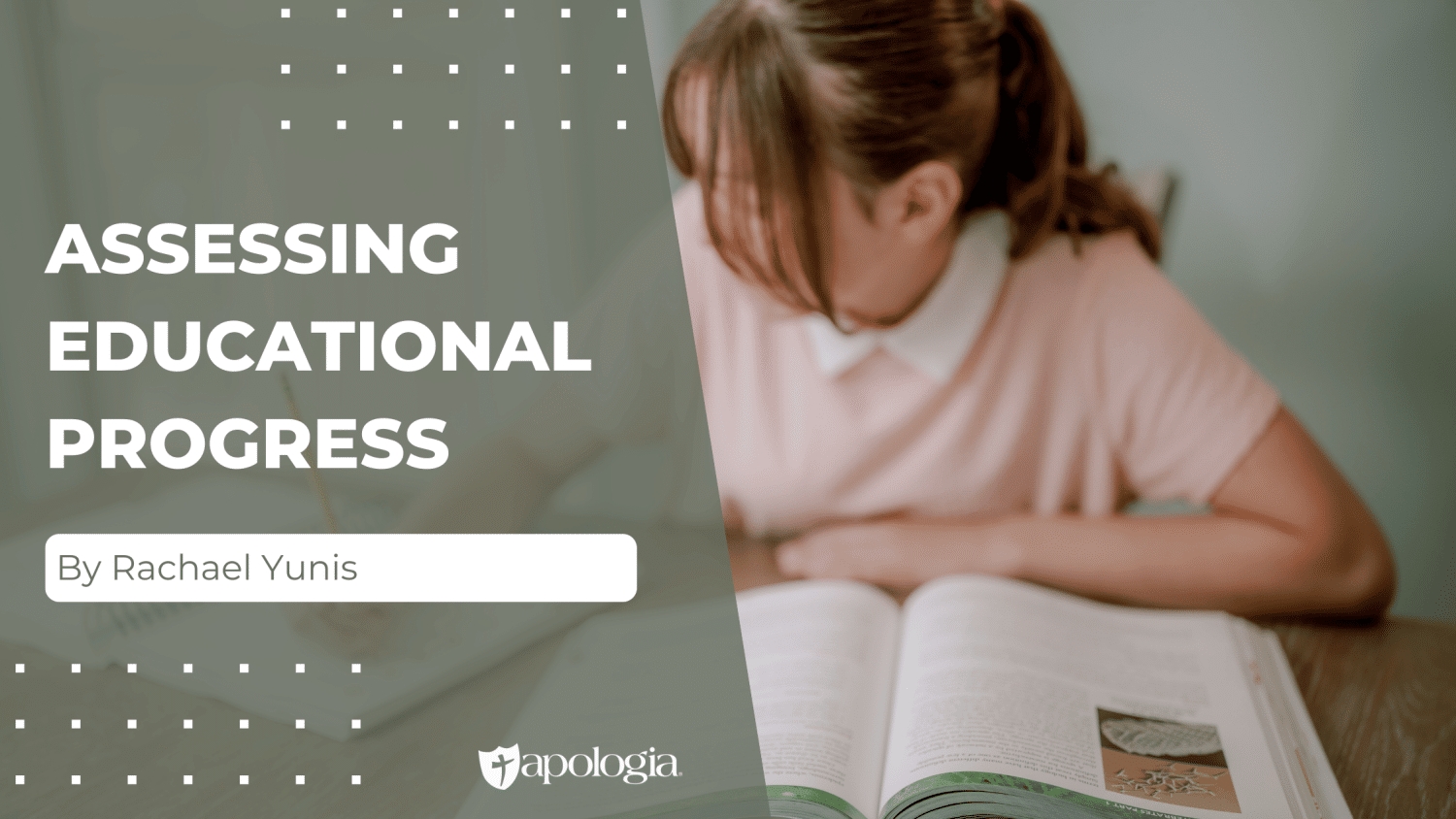 Assessing Educational Progress blog feature image