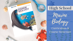 High School Marine Biology curriculum and course structure blog feature image