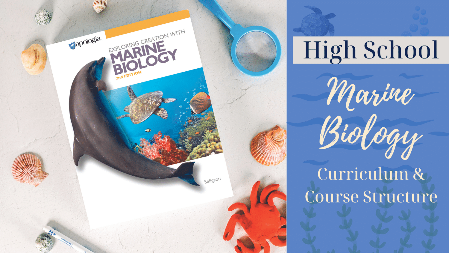 High School Marine Biology curriculum and course structure blog feature image
