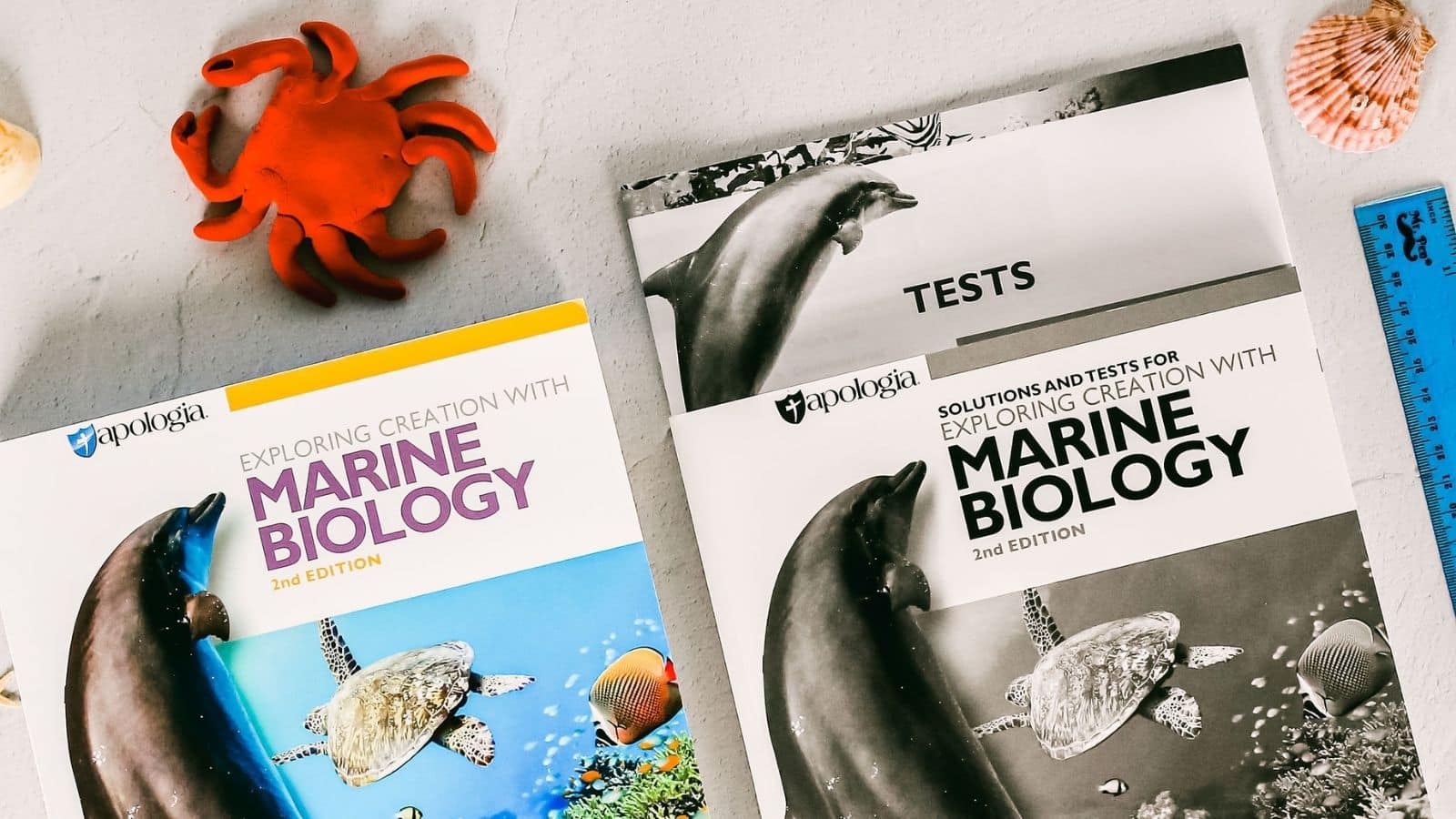 High School Marine Biology Curriculum & Course Structure