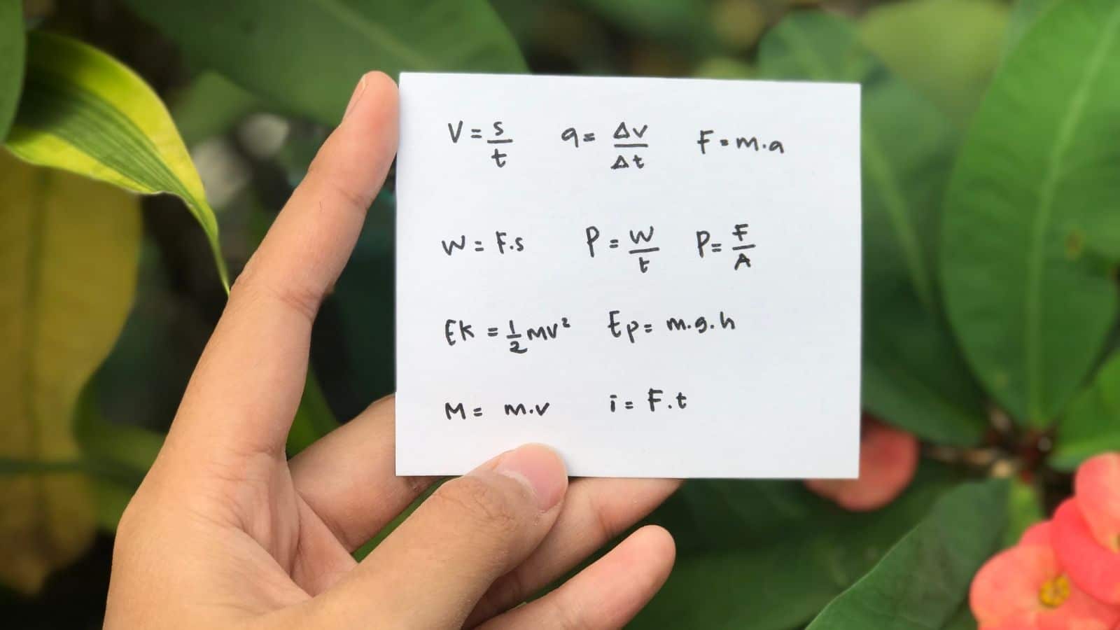 High School Physics Curriculum & Course Structure