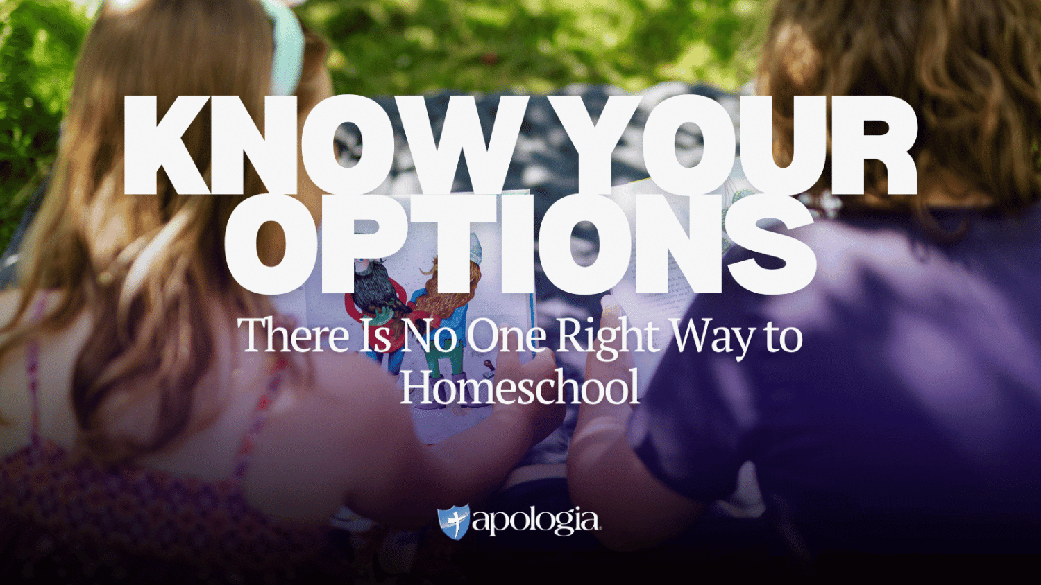 Know Your Options blog post feature image